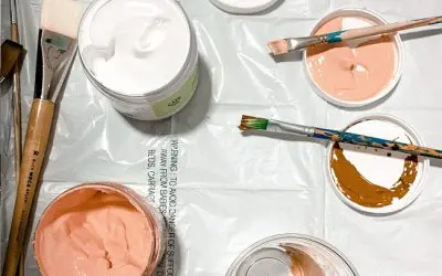LA TENDANCE DE LA PEINTURE BIO : A QUEL PRIX ?